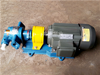 齒輪泵-齒輪泵生產(chǎn)廠家