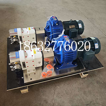 3RP-3Z-35型凸輪轉(zhuǎn)子泵