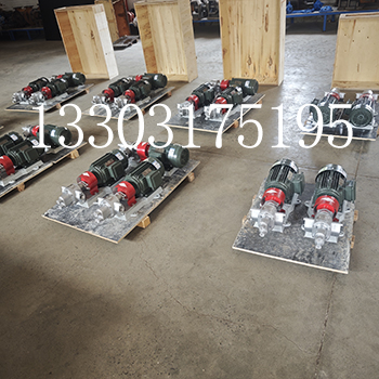 BW-B-3.3不銹鋼保溫泵