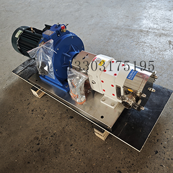 3RP-3Z-35型凸輪轉(zhuǎn)子泵