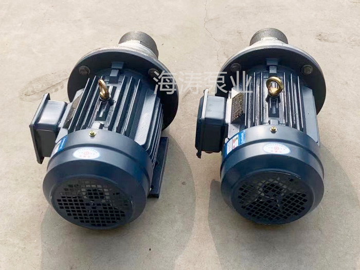 WCB不銹鋼齒輪泵