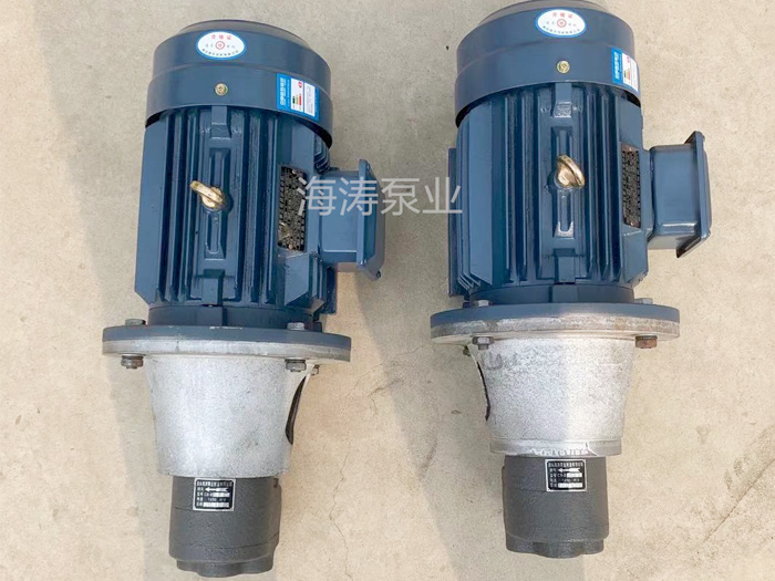 WCB不銹鋼齒輪泵