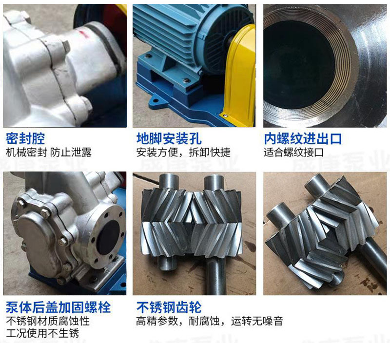 nyp高粘度轉(zhuǎn)子泵細節(jié)