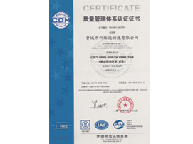 節(jié)能導熱油泵